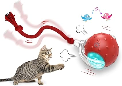Giociv Interactive Cat Toys