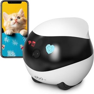 smart robot for cat
