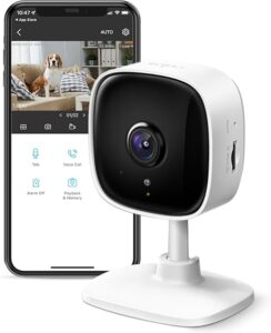 Tapo C100 Security Camera