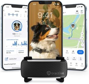 Dog GPS